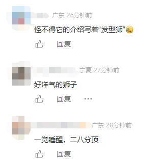 广州网红狮子齐刘海阿杭变“二八分”，网友：似曾相识
