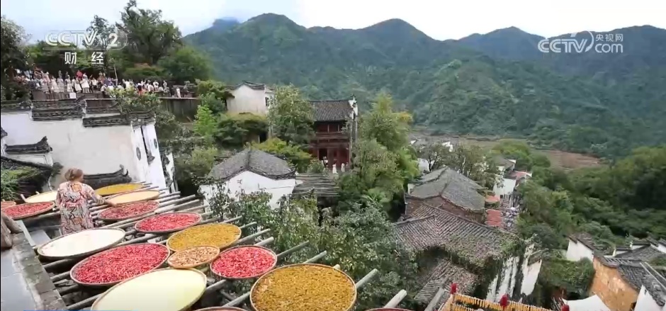 特色产业绘就秋日好“丰”景 农文旅“融”出乡村振兴新动能