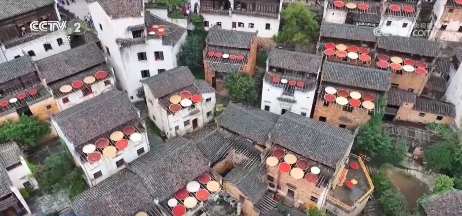 特色产业绘就秋日好“丰”景 农文旅“融”出乡村振兴新动能