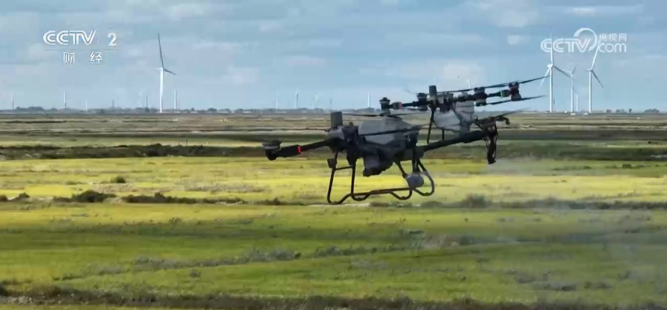 特色产业绘就秋日好“丰”景 农文旅“融”出乡村振兴新动能