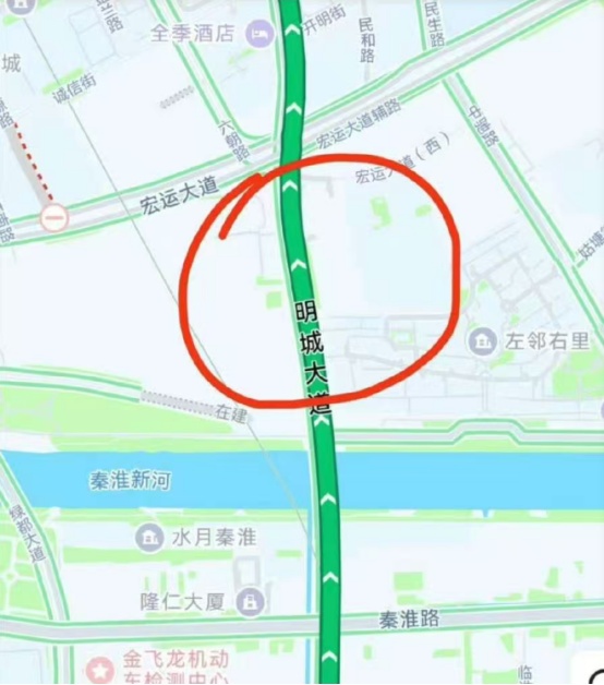 大量鸟类撞击玻璃死亡！南京一高架路段成“小鸟交通事故高发地”