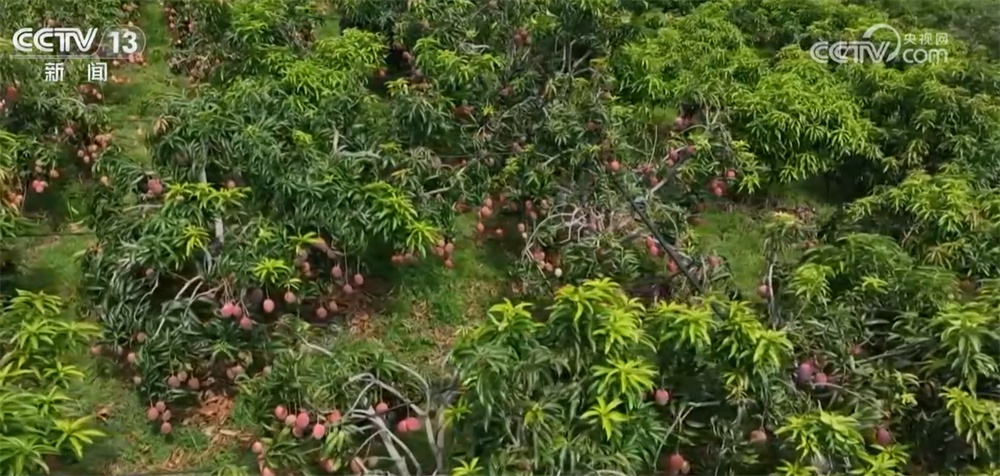 8月快递发展指数同比增长4.4% 多举措保障地方特色产品“鲜”达全国