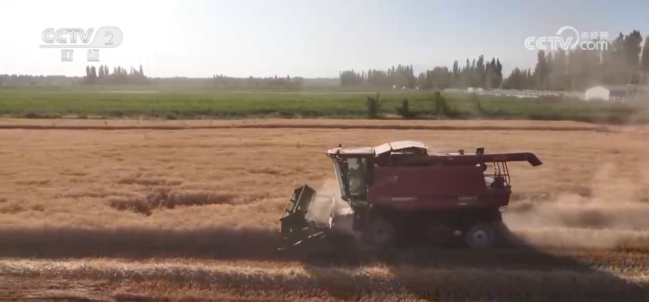 特色产业绘就秋日好“丰”景 农文旅“融”出乡村振兴新动能