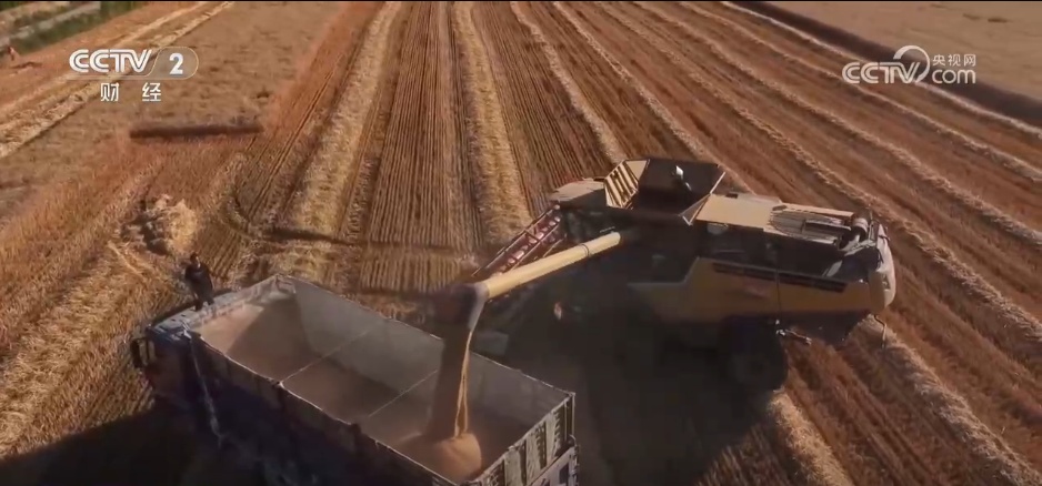 特色产业绘就秋日好“丰”景 农文旅“融”出乡村振兴新动能