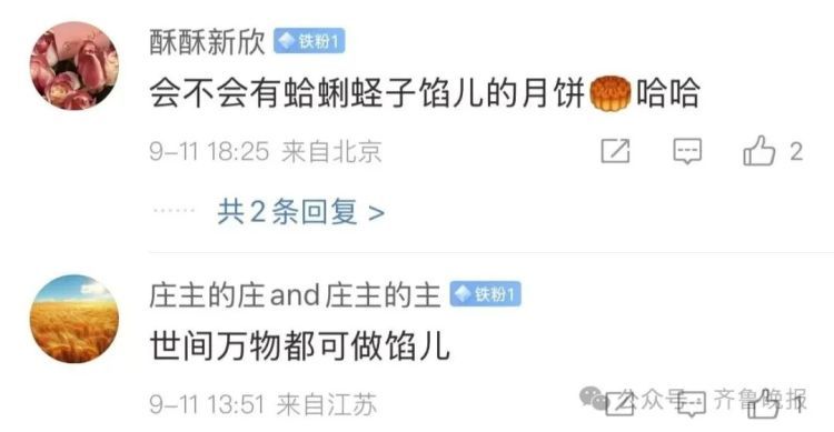 “豆橛子”硬控山东人！闯进月饼赛道，网友热议：妈妈包的饺子馅变异了？