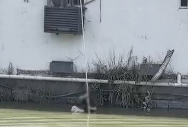 危急时刻一跃而下！俞涛，你太帅了！