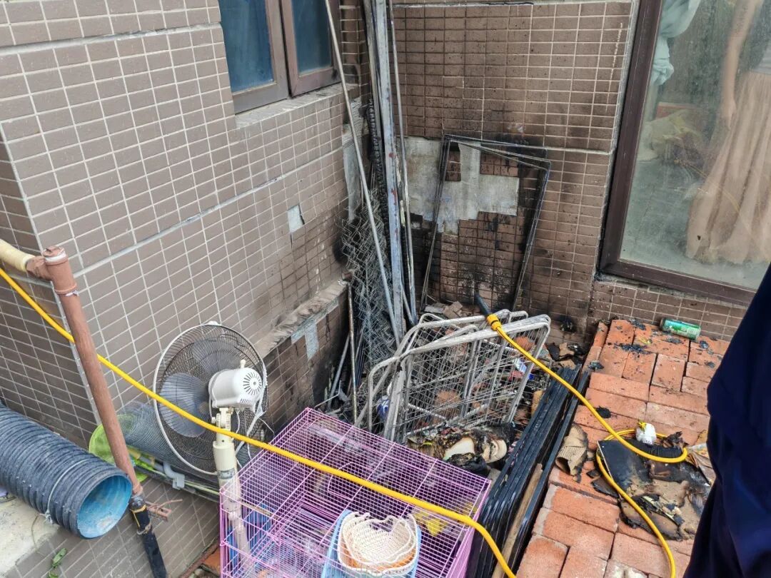 “流浪”的它引燃一楼花园，中心温度竟可达800℃！