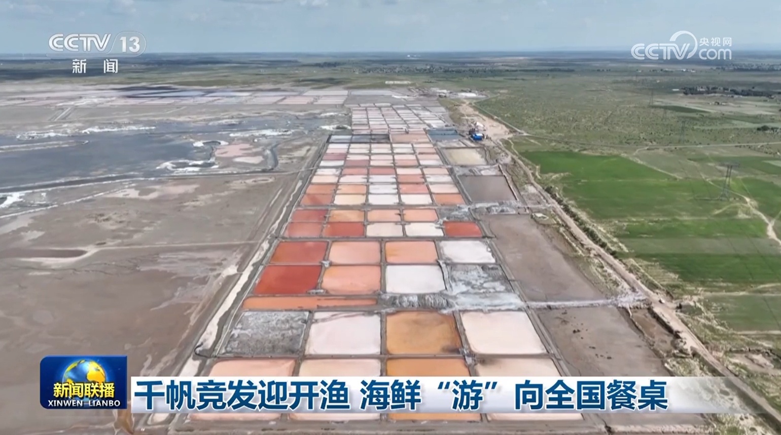 千帆竞发迎开渔 海鲜“游”向全国餐桌