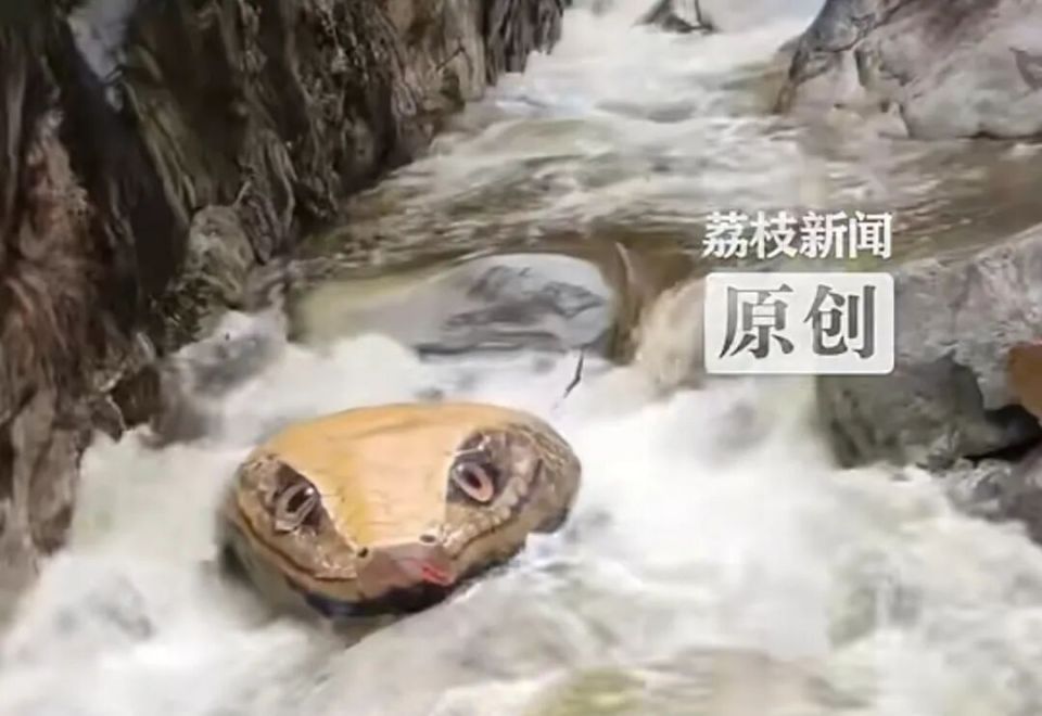 河南一景点石头被彩绘，如同巨型蛇头，当地管委会：没有危险可以放心游玩