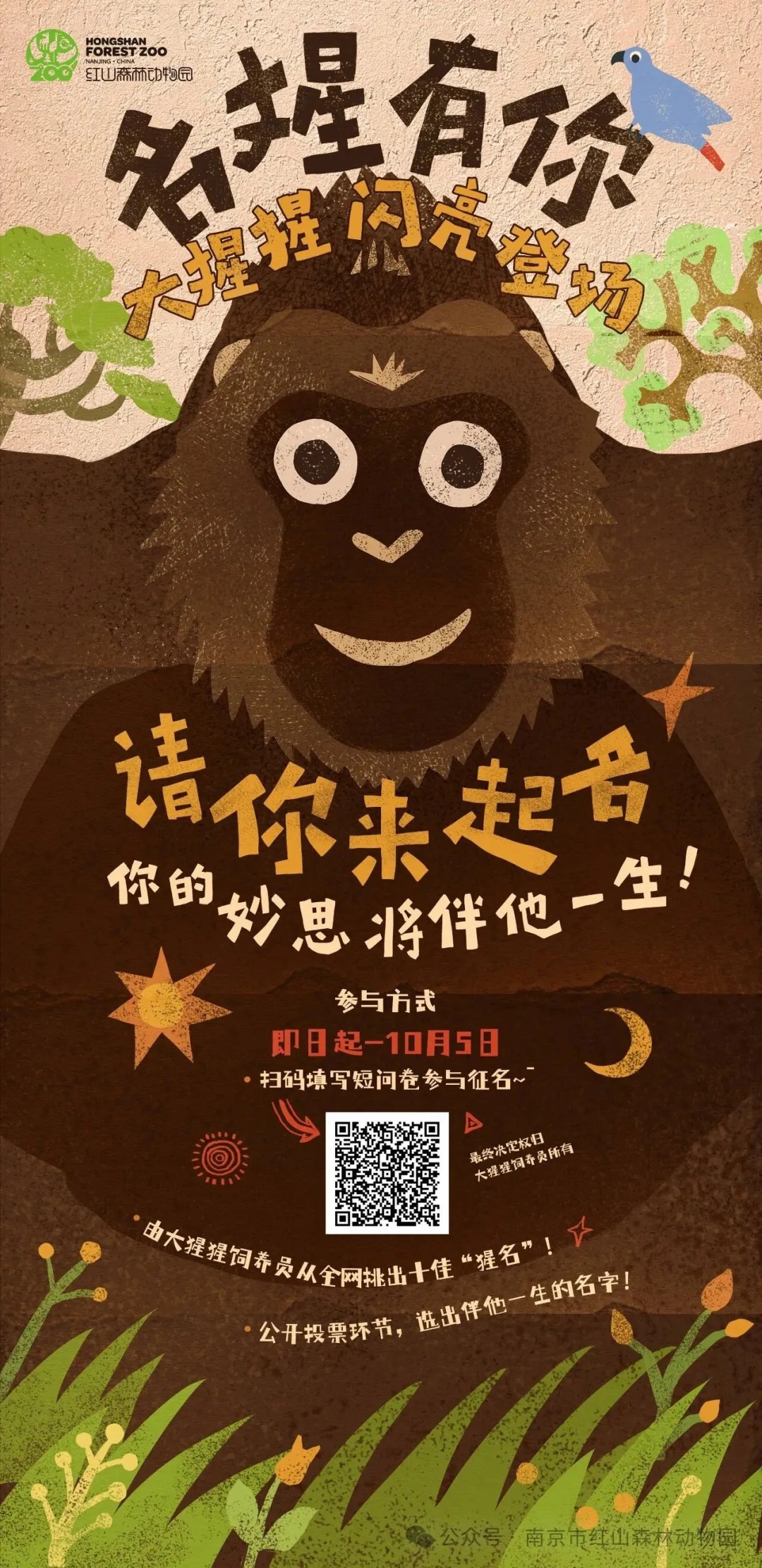 红山猩猩 “天团” 征名火出圈!网友:把取名玩明白了 红山猩猩 “天团” 征名火出圈!网友:把取名玩明白了