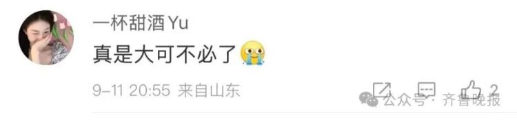 “豆橛子”硬控山东人！闯进月饼赛道，网友热议：妈妈包的饺子馅变异了？