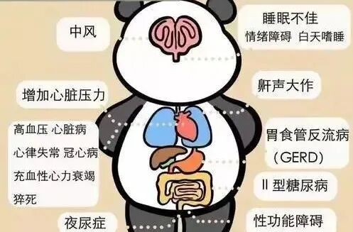 睡眠呼吸暂停:别把打鼾当小事 睡眠呼吸暂停:别把打鼾当小事