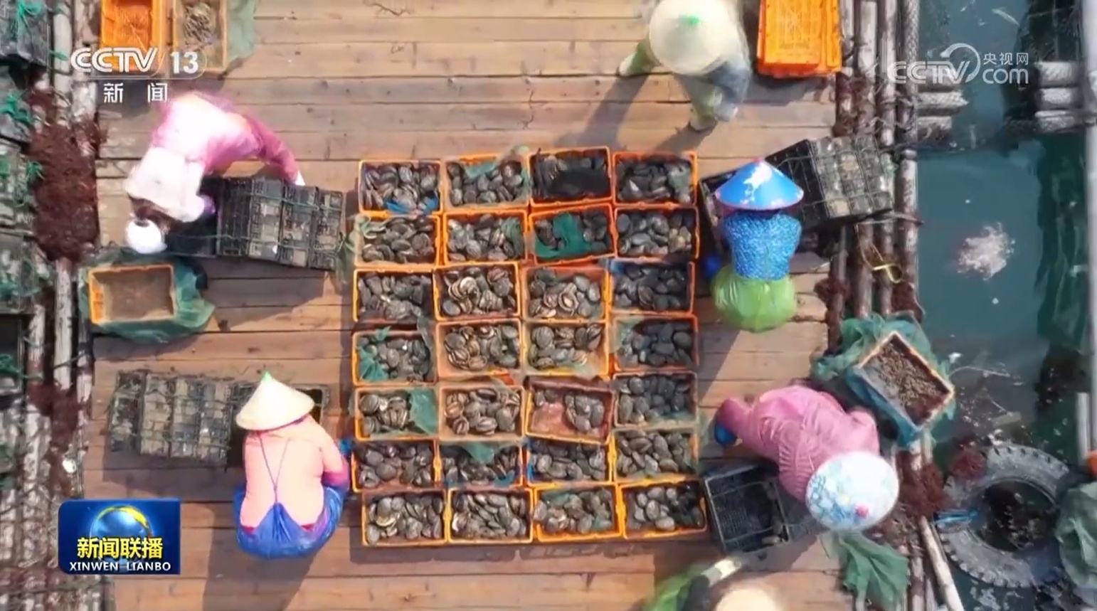 千帆竞发迎开渔 海鲜“游”向全国餐桌