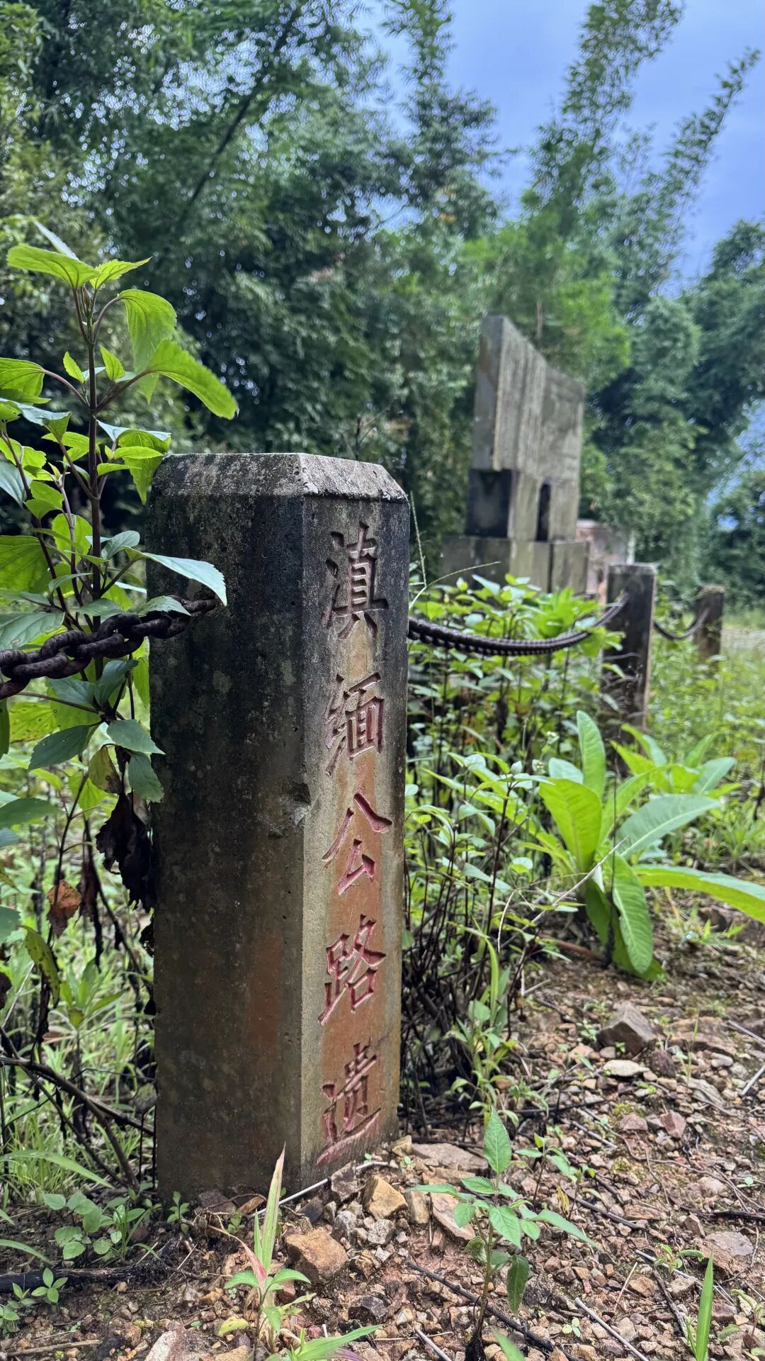 这条路上，方向盘就是他们的“武器”！