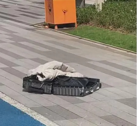女子43楼扔下一个行李箱，声称“我只是没拿住”！楼下散步行人正好经过，警方：刑拘
