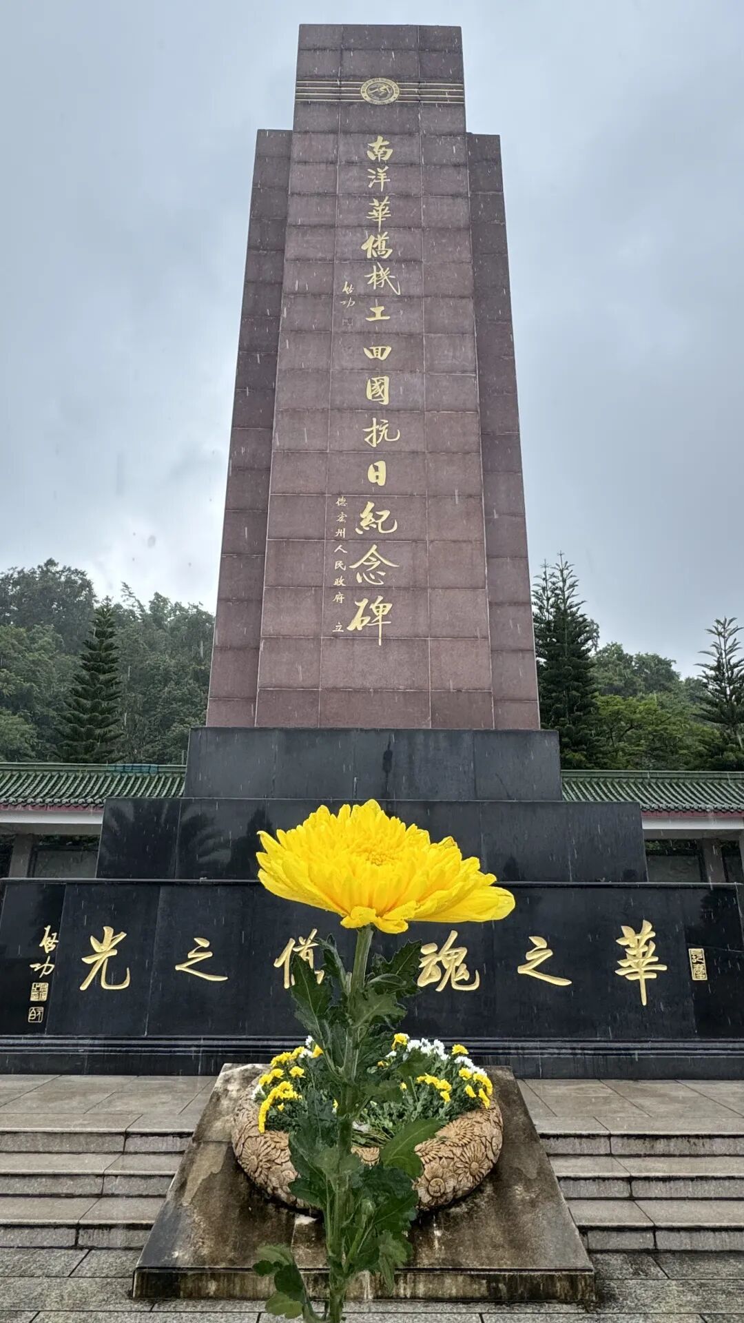 这条路上，方向盘就是他们的“武器”！