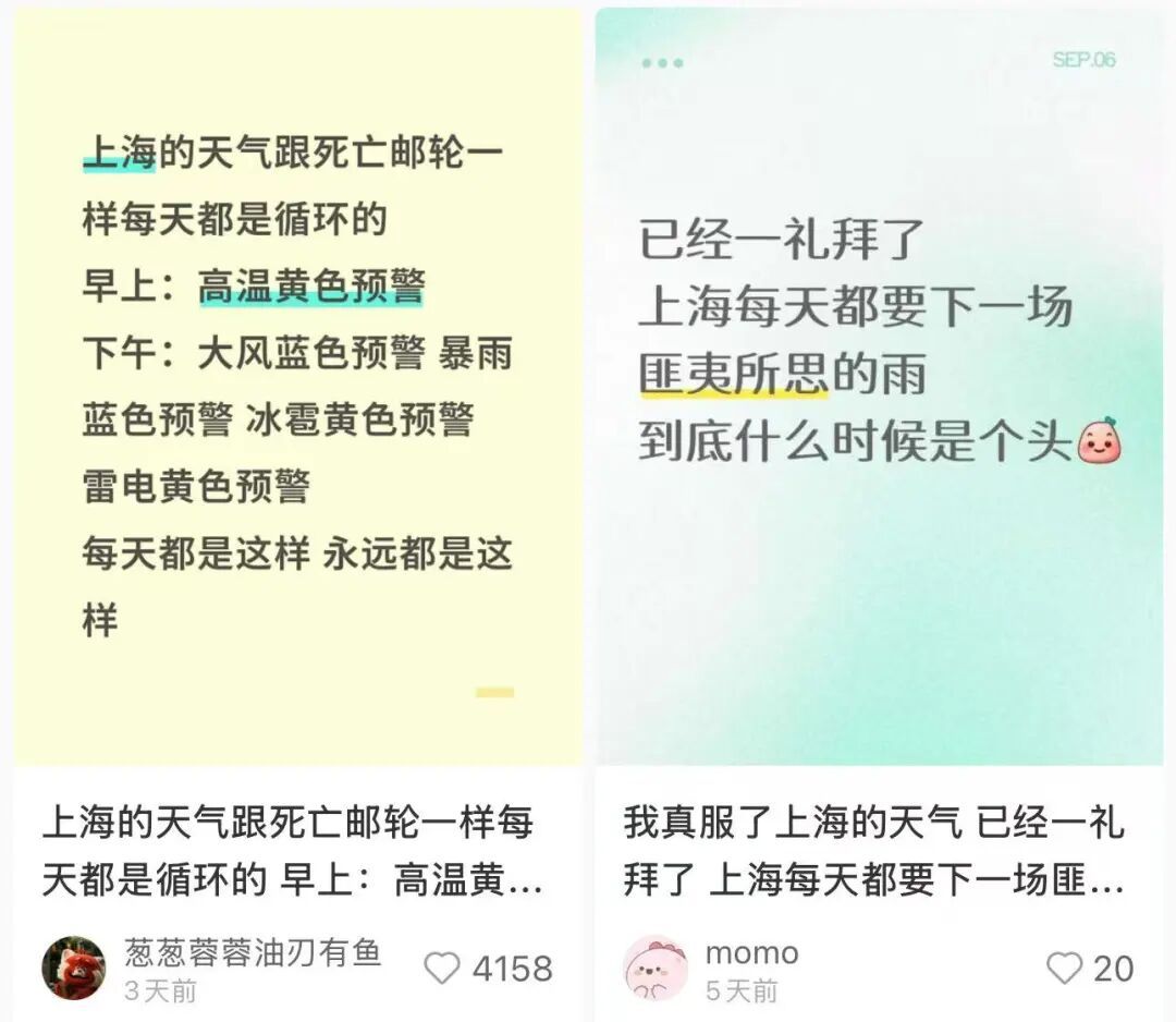 上海降温有消息！就在这5个区已经被暴雨淋头…