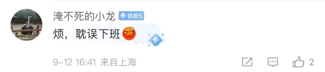 上海降温有消息！就在这5个区已经被暴雨淋头…