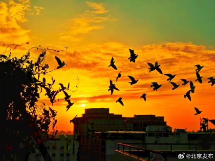 绚烂晚霞扮靓京城天空