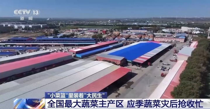 “小菜篮”里装着“大民生” 面对菜价波动 多地出实招守护“菜篮子”