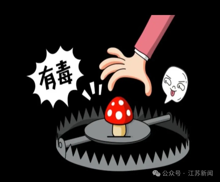 虫眼蘑菇无毒?已有人躺进急诊室!医生紧急提醒 虫眼蘑菇无毒?已有人躺进急诊室!医生紧急提醒