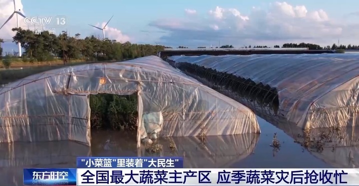 “小菜篮”里装着“大民生” 面对菜价波动 多地出实招守护“菜篮子”