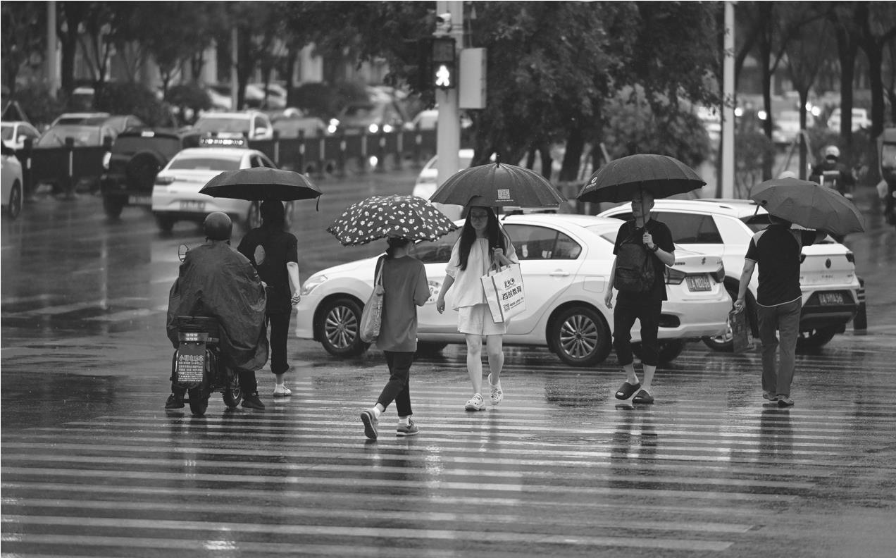 今夏多雨，雨带真的北移了吗？