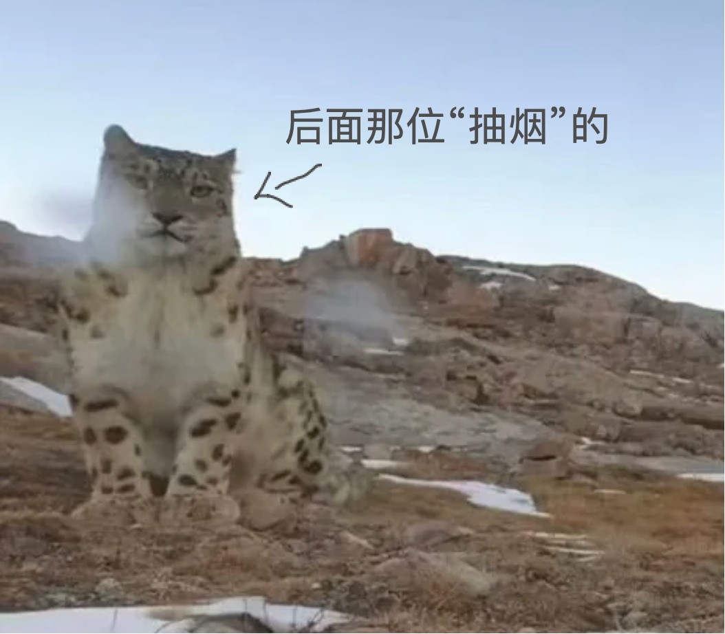 我在群里喊妈妈,爸爸怎么端着两杯咖啡就出来了 我在群里喊妈妈,爸爸怎么端着两杯咖啡就出来了