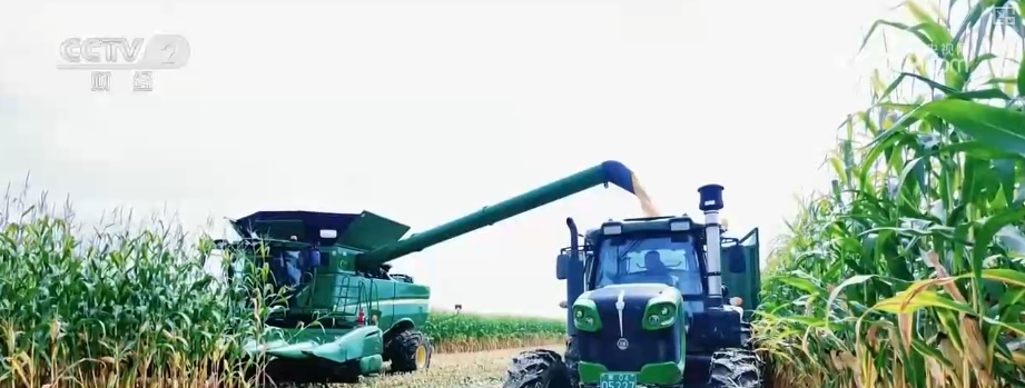 瓜果飘香、禾谷满仓、鱼跃人欢 希望田野上处处金秋好“丰”光