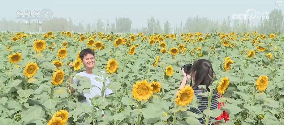 瓜果飘香、禾谷满仓、鱼跃人欢 希望田野上处处金秋好“丰”光