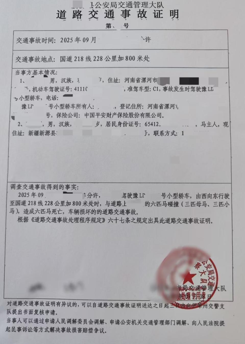 游客自驾撞到马群致6匹马死亡，称自费修车赔马压力大，且马群占据国道马主人也应担责