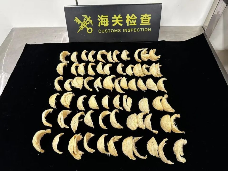 女子入境时用塑料袋将2包燕窝藏在连衣裙口袋、打底裤内，被海关查获