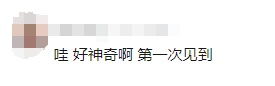 猴面包树在广东结果了，比非洲的还大！网友：好吃吗