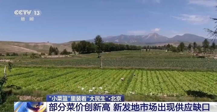 “小菜篮”里装着“大民生” 面对菜价波动 多地出实招守护“菜篮子”