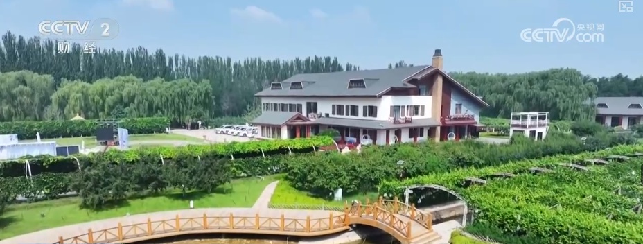 瓜果飘香、禾谷满仓、鱼跃人欢 希望田野上处处金秋好“丰”光