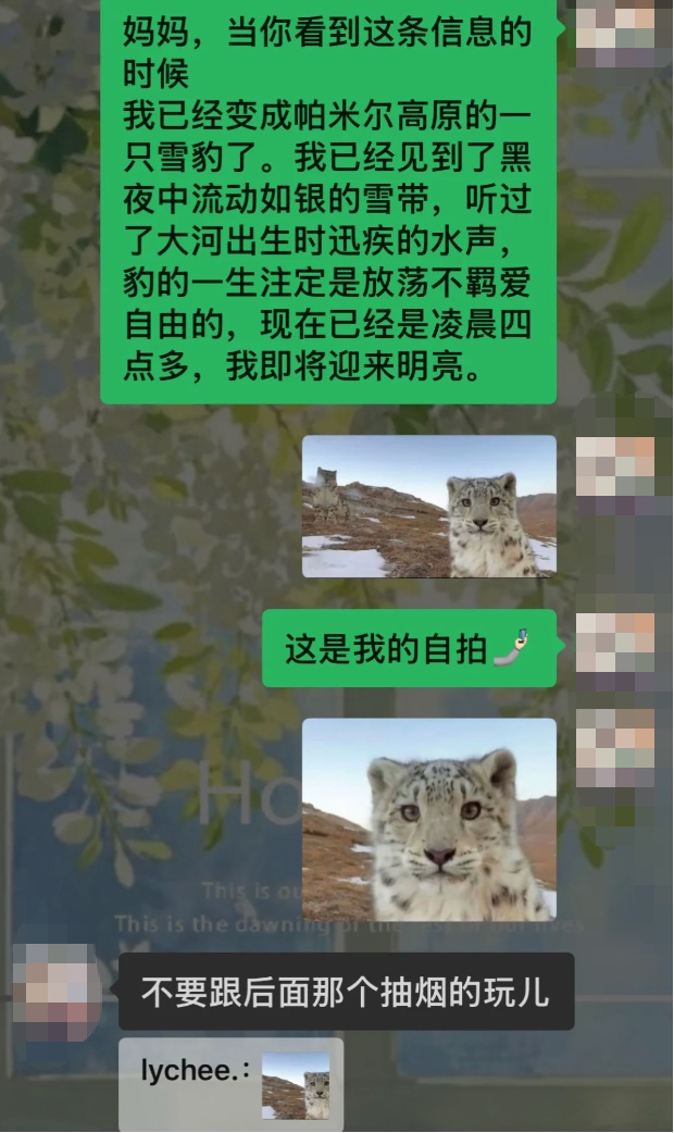 我在群里喊妈妈,爸爸怎么端着两杯咖啡就出来了 我在群里喊妈妈,爸爸怎么端着两杯咖啡就出来了