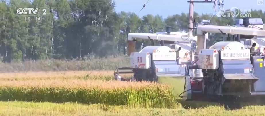 瓜果飘香、禾谷满仓、鱼跃人欢 希望田野上处处金秋好“丰”光