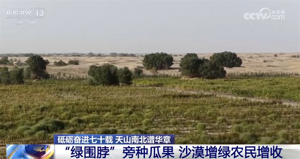 砥砺奋进七十载 天山南北谱华章|“绿围脖”旁生机勃勃 扩边增绿工程结出“致富果” 砥砺奋进七十载 天山南北谱华章|“绿围脖”旁生机勃勃 扩边增绿工程结出“致富果”