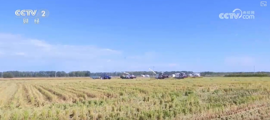 瓜果飘香、禾谷满仓、鱼跃人欢 希望田野上处处金秋好“丰”光