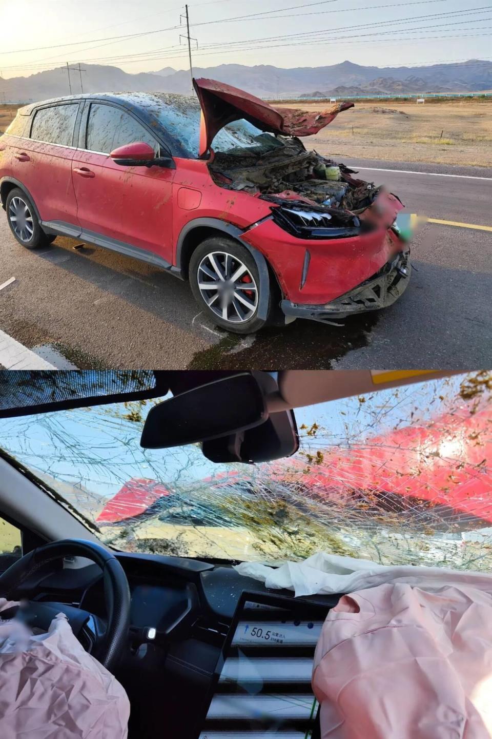 游客自驾撞到马群致6匹马死亡，称自费修车赔马压力大，且马群占据国道马主人也应担责