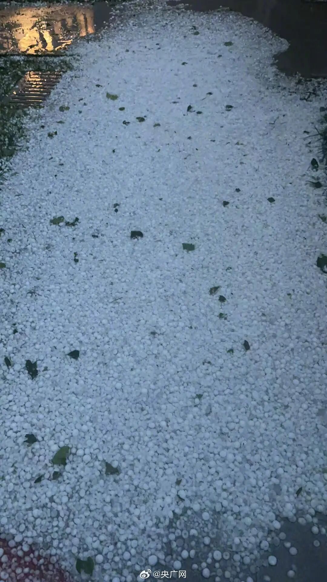 出行注意防范！北京多区突降冰雹，打到窗户“嘣嘣”作响！