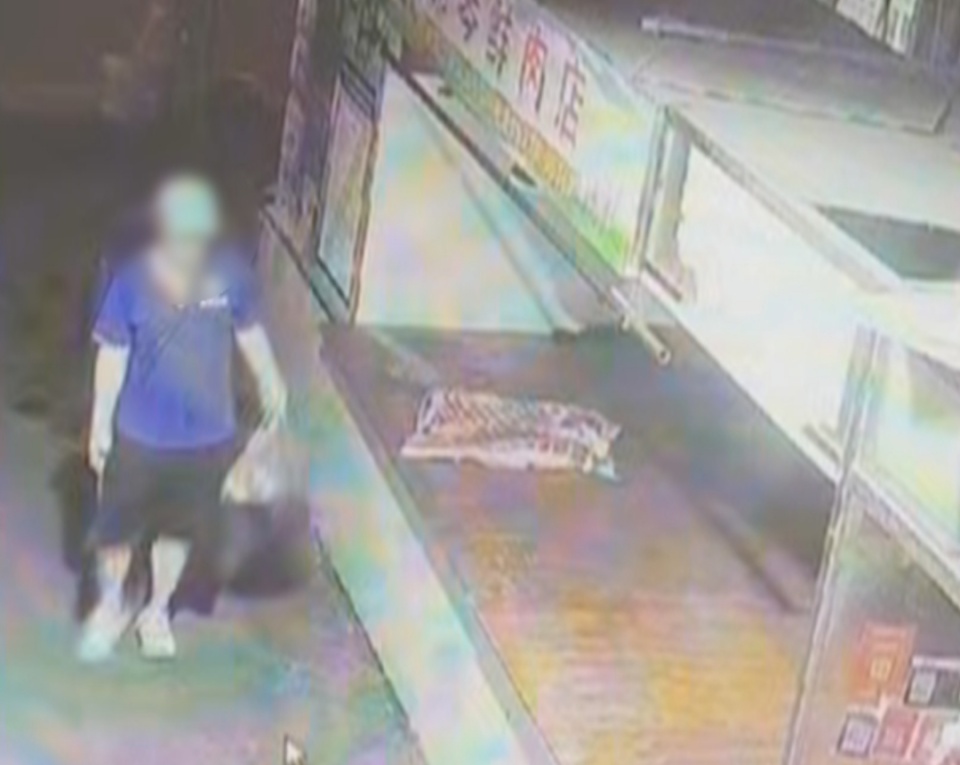 囊中羞涩,贵阳一大叔嘴馋凌晨到菜场偷肉,被抓时红烧肉还在冒热气 囊中羞涩,贵阳一大叔嘴馋凌晨到菜场偷肉,被抓时红烧肉还在冒热气