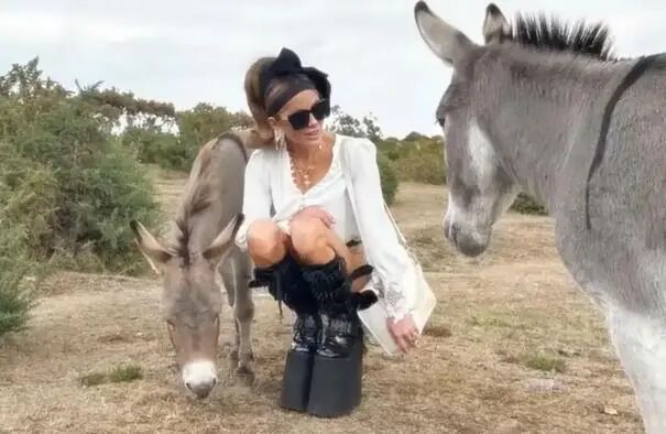 《珍珠港》女演员在公园违规，疑被封号还将面临罚款