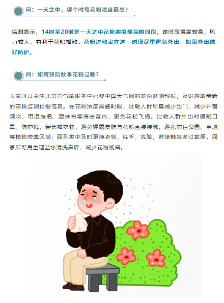 北京进入秋季花粉高峰期 北京进入秋季花粉高峰期