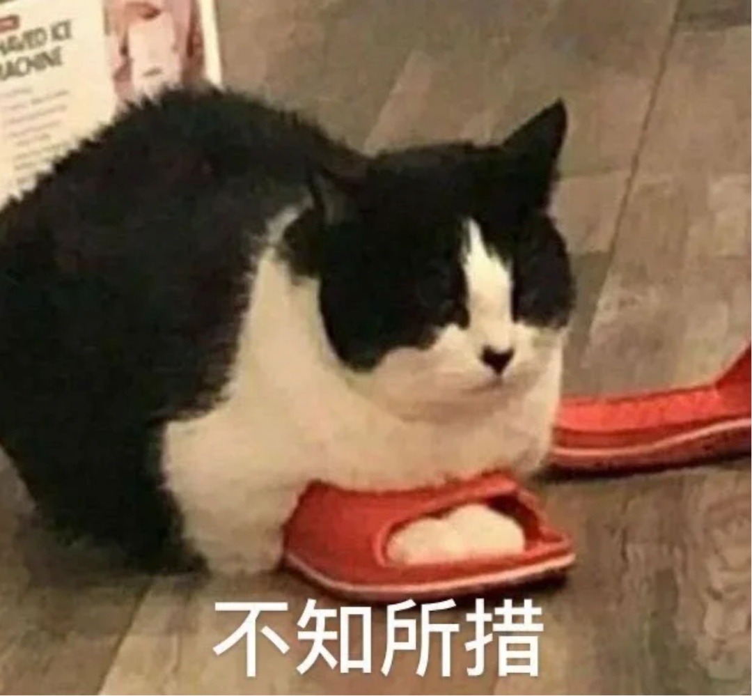 谁懂点开宿舍名单一串自己名字的感觉……网友：“从此痛失本名”