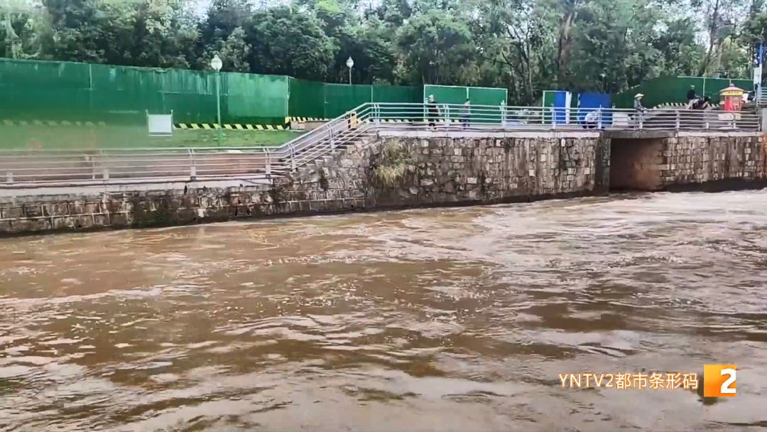 后空翻、反手、背跃！盘龙江野泳族花式跳水……