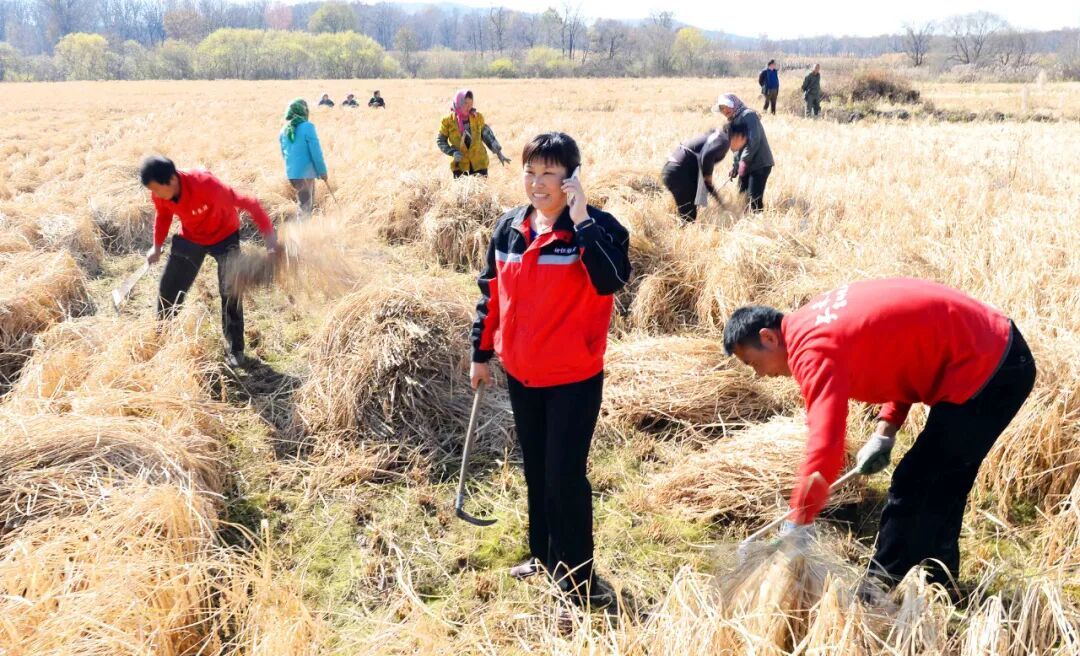 健康 ｜ 右耳接电话伤害大脑？接电话时真正应该注意的是……