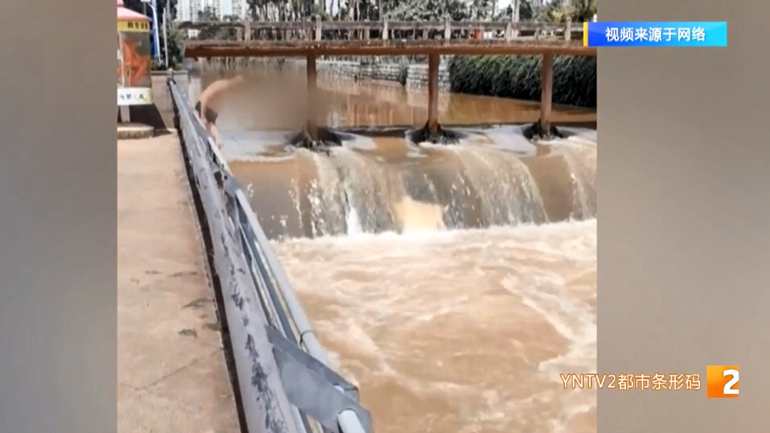 后空翻、反手、背跃！盘龙江野泳族花式跳水……