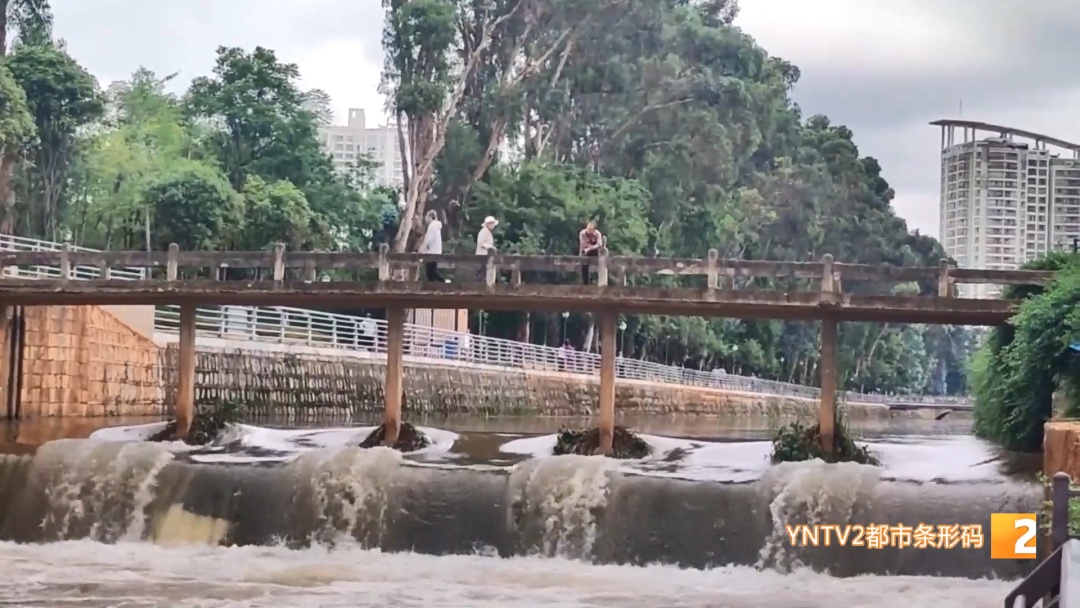 后空翻、反手、背跃！盘龙江野泳族花式跳水……