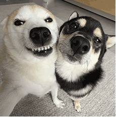 谁懂点开宿舍名单一串自己名字的感觉……网友：“从此痛失本名”